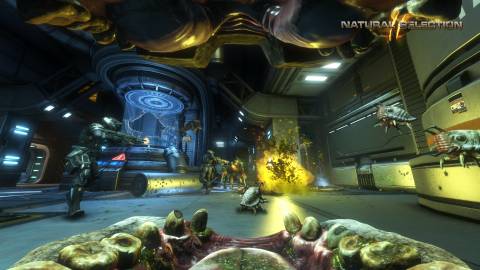 Natural Selection 2 Tag Image 7