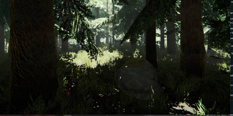 Near Shipping - Deeper into the forest