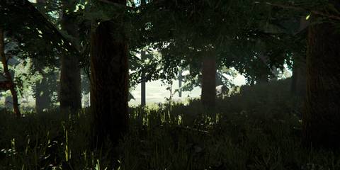 Near Shipping - View of the shore