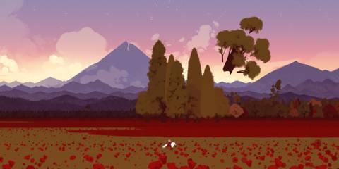 Neva-field-full-of-red-flowers