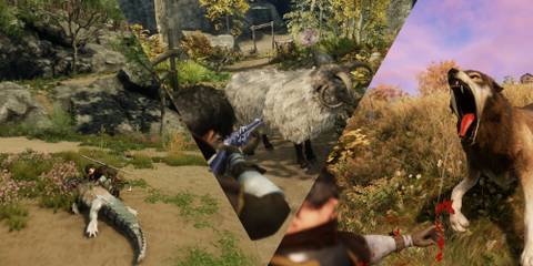 A split image of skinning and tracking in New World Aeternum