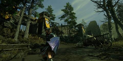 New World Aeturnum Sword and Shield Blocking