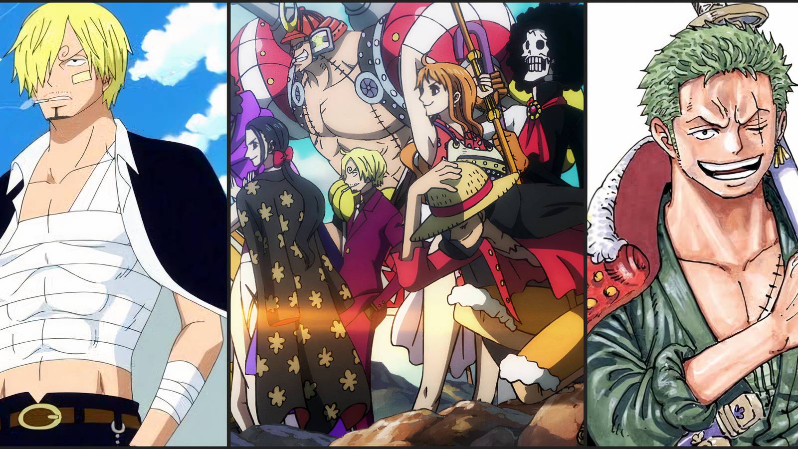 One Piece Straw Hats Vice Captain