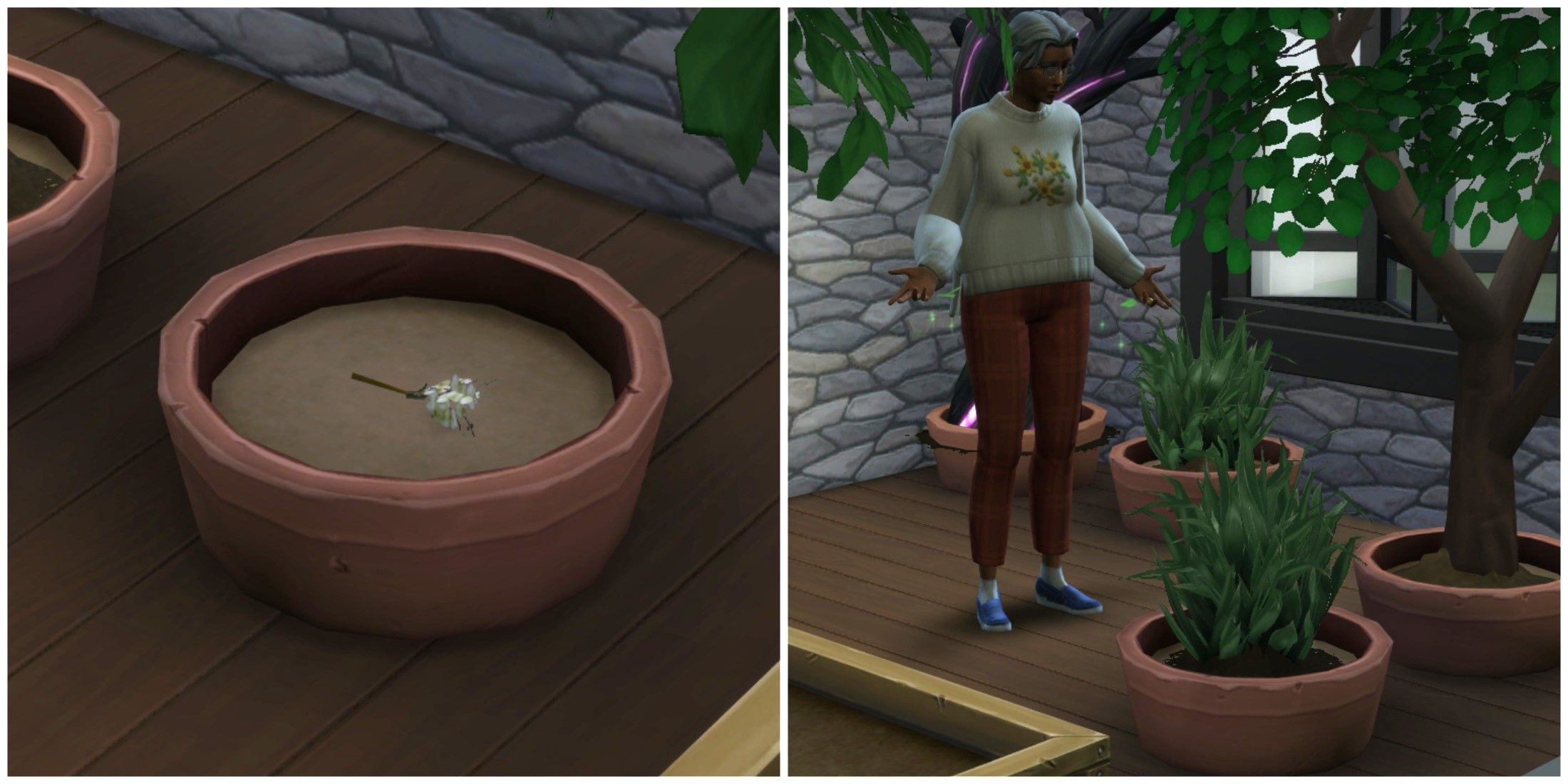 How to Get an Orchid Plant in The Sims 4