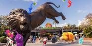 Visiting The San Diego Zoo To Find Some Pikmin