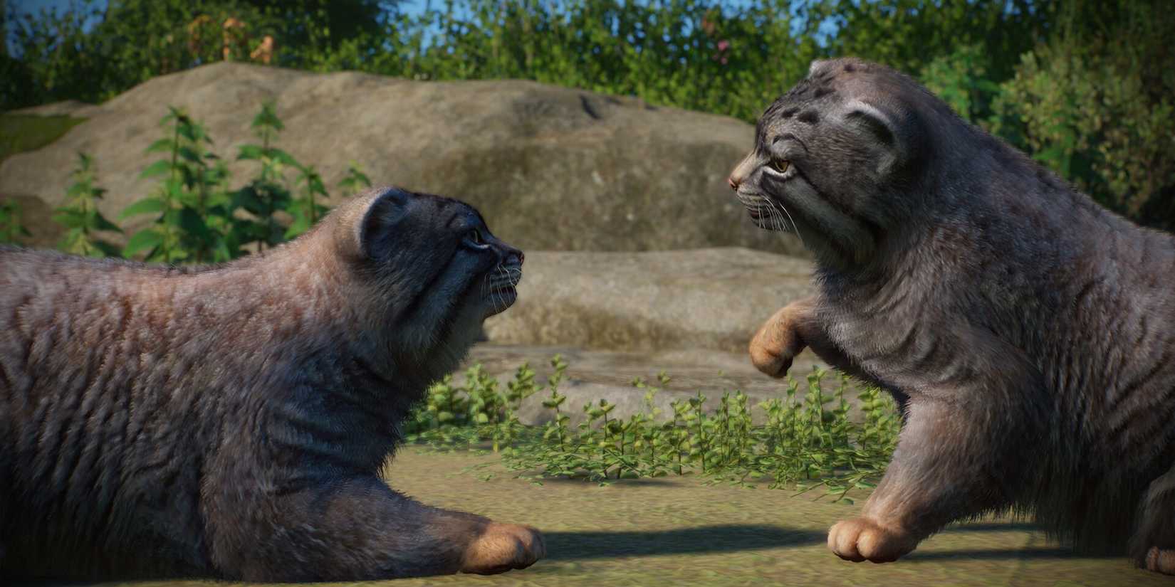 Planet Zoo Zookeepers Animal Pack Pallas Cats