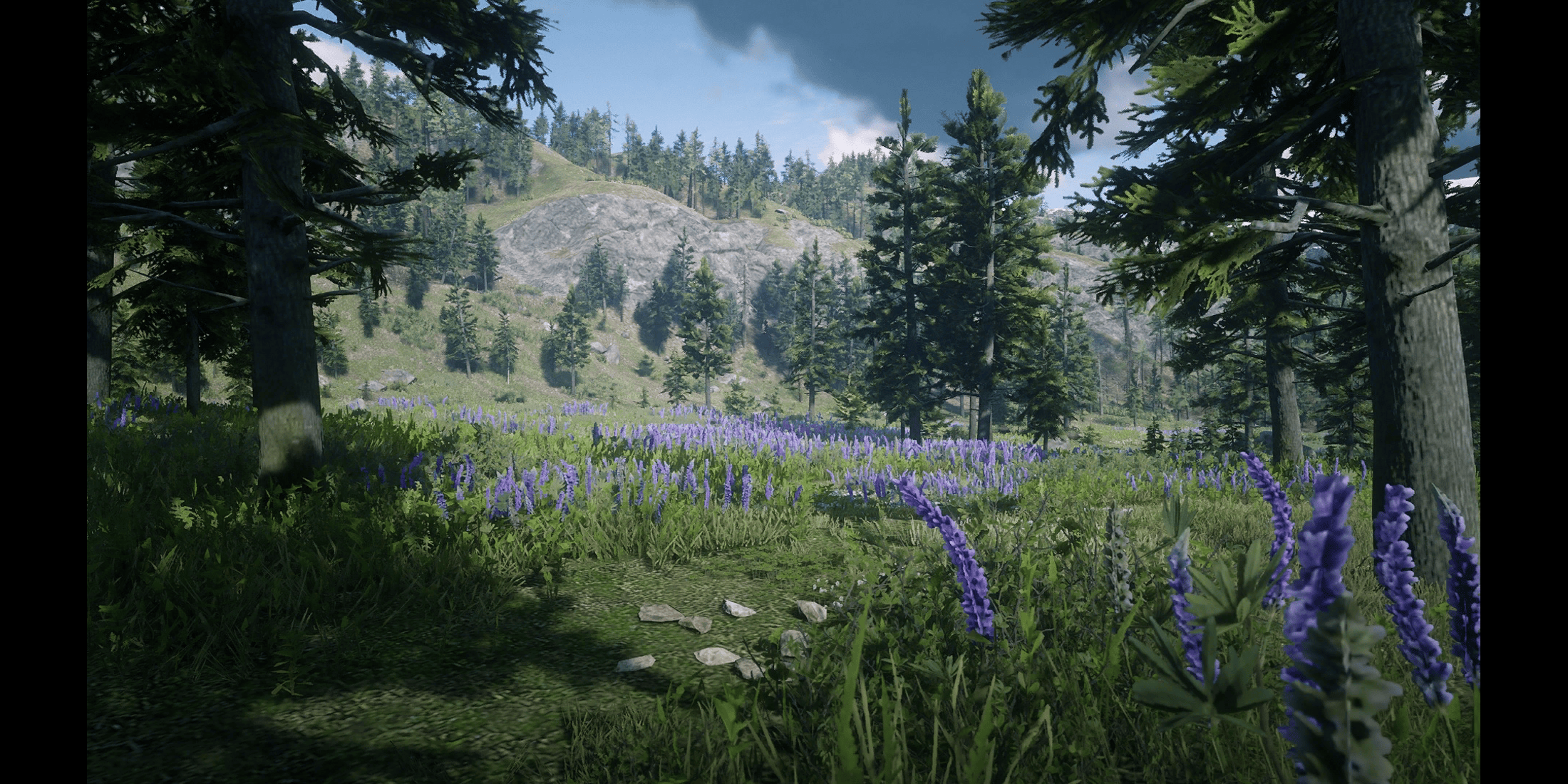 Pronghorn Ranch RDR2