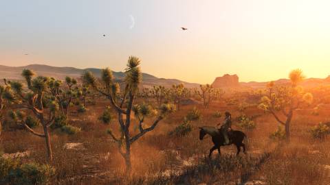 red dead redemption horse riding desert