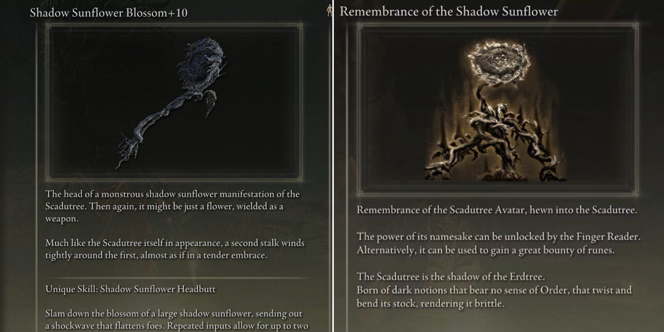 remembrance of the shadow sunflower in elden ring