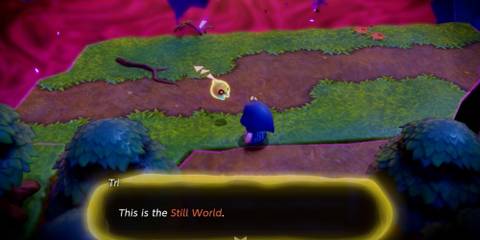 Zelda and Tri in Still World