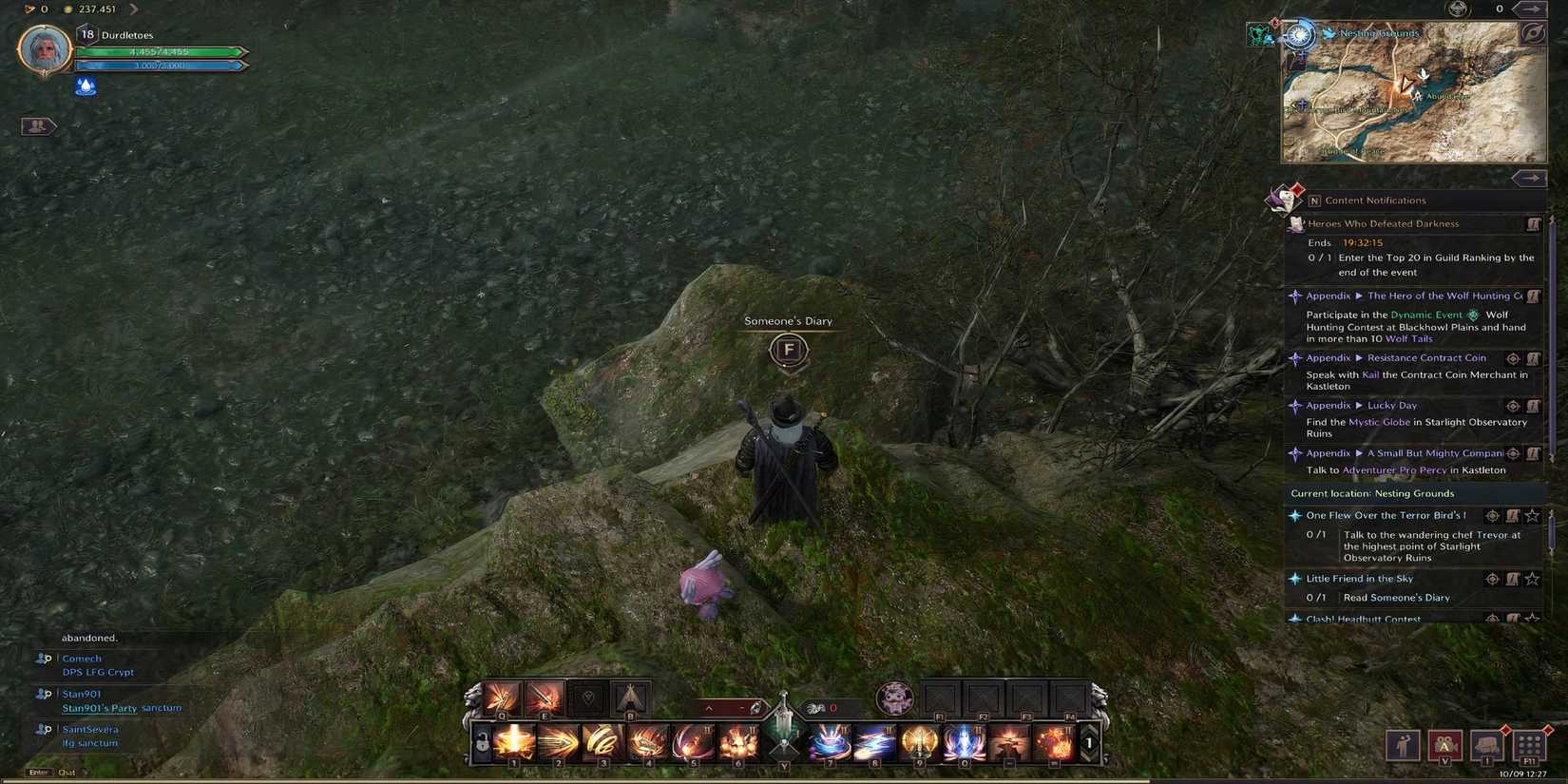 Throne and Liberty - Someone's Diary