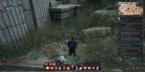 Throne and Liberty - Collection Codex page