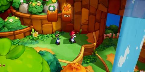 mario and luigi exploring