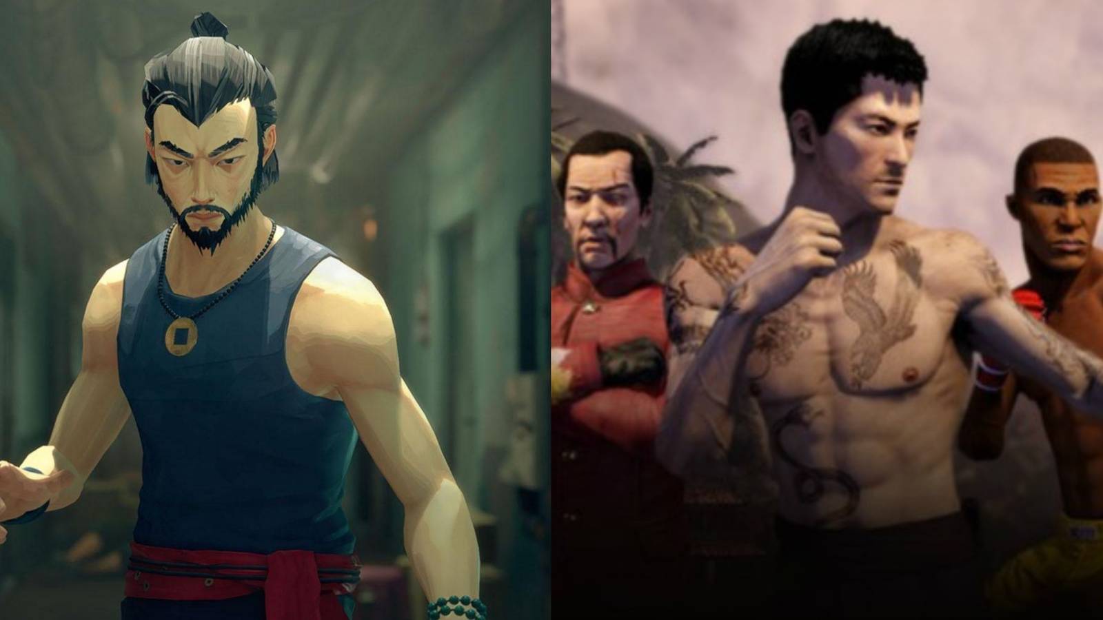 Sifu - Sleeping Dogs