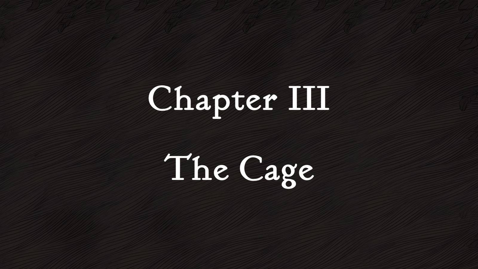 slay the princess cage route