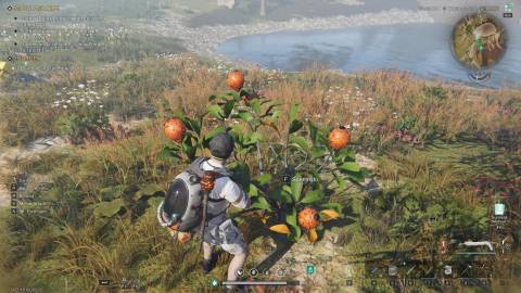 Spikemato Once Human