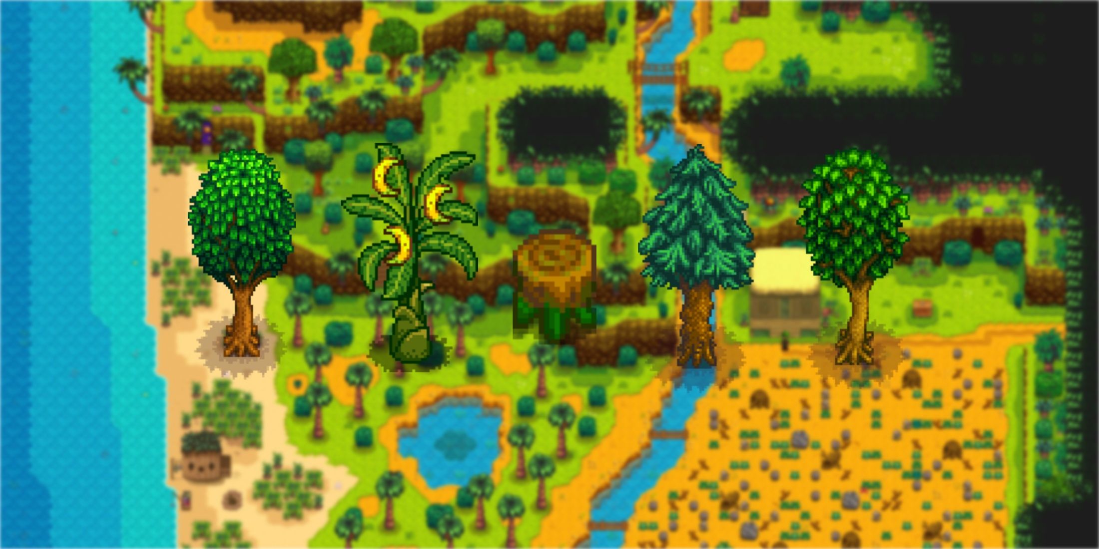 Best Ways To Use Ginger Island Farm In Stardew Valley