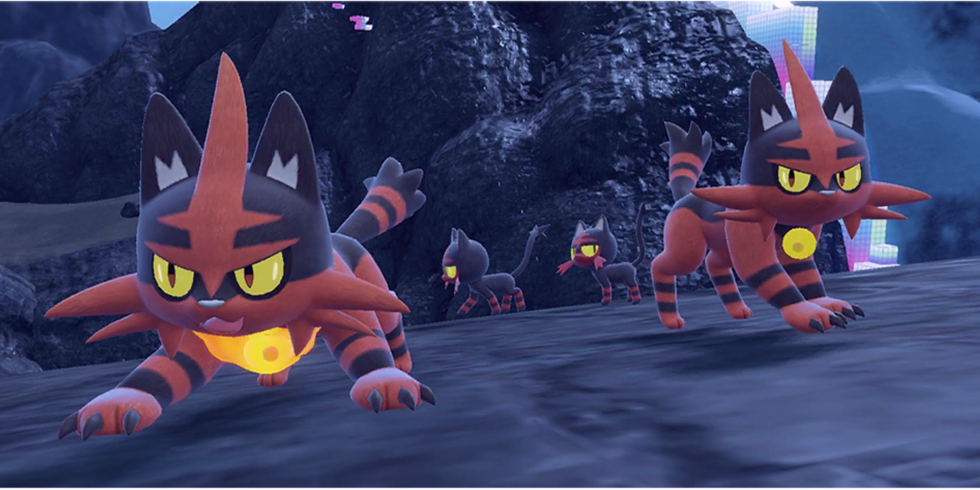 Torracat's pokedex image