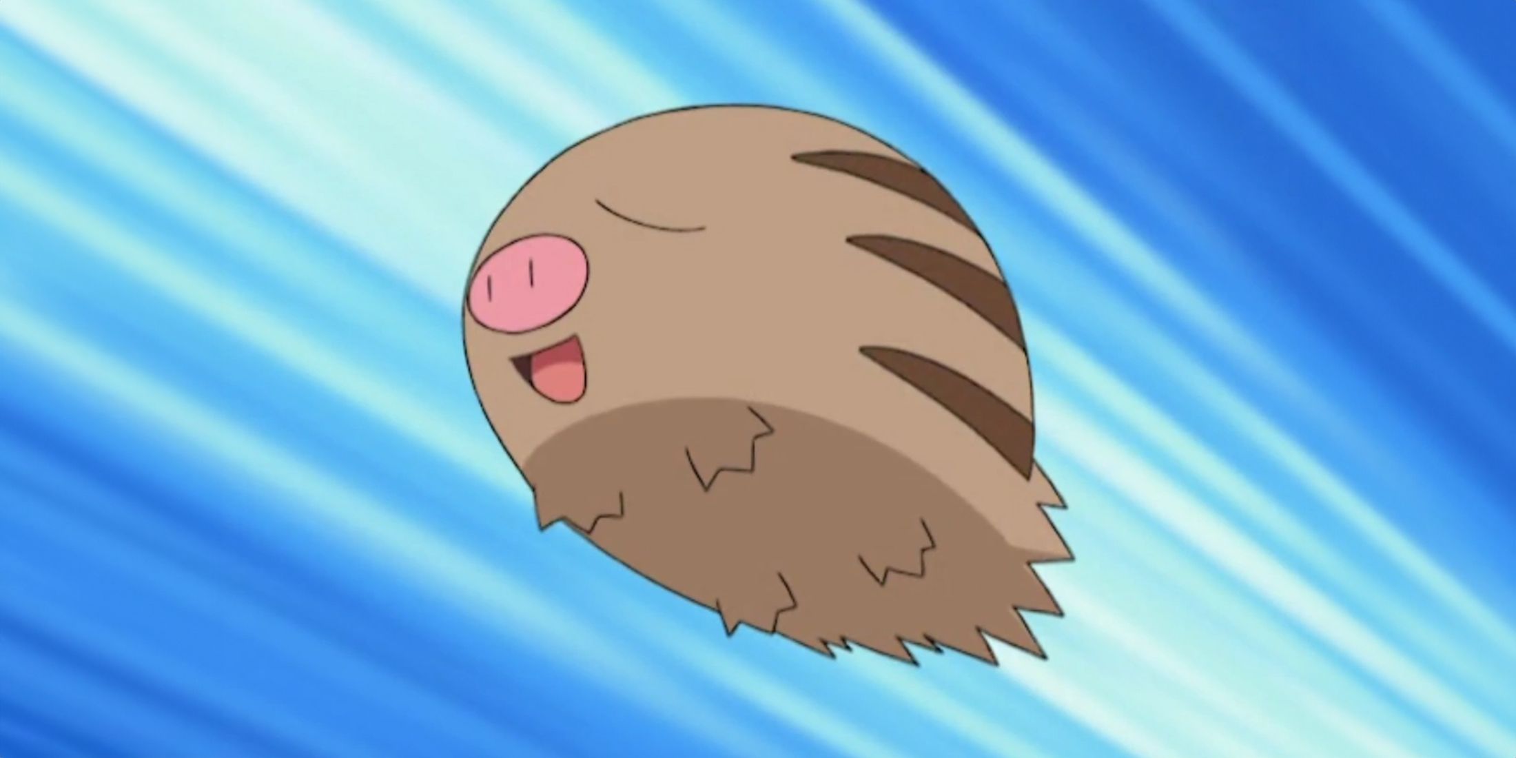 Swinub In The Pokemon Anime