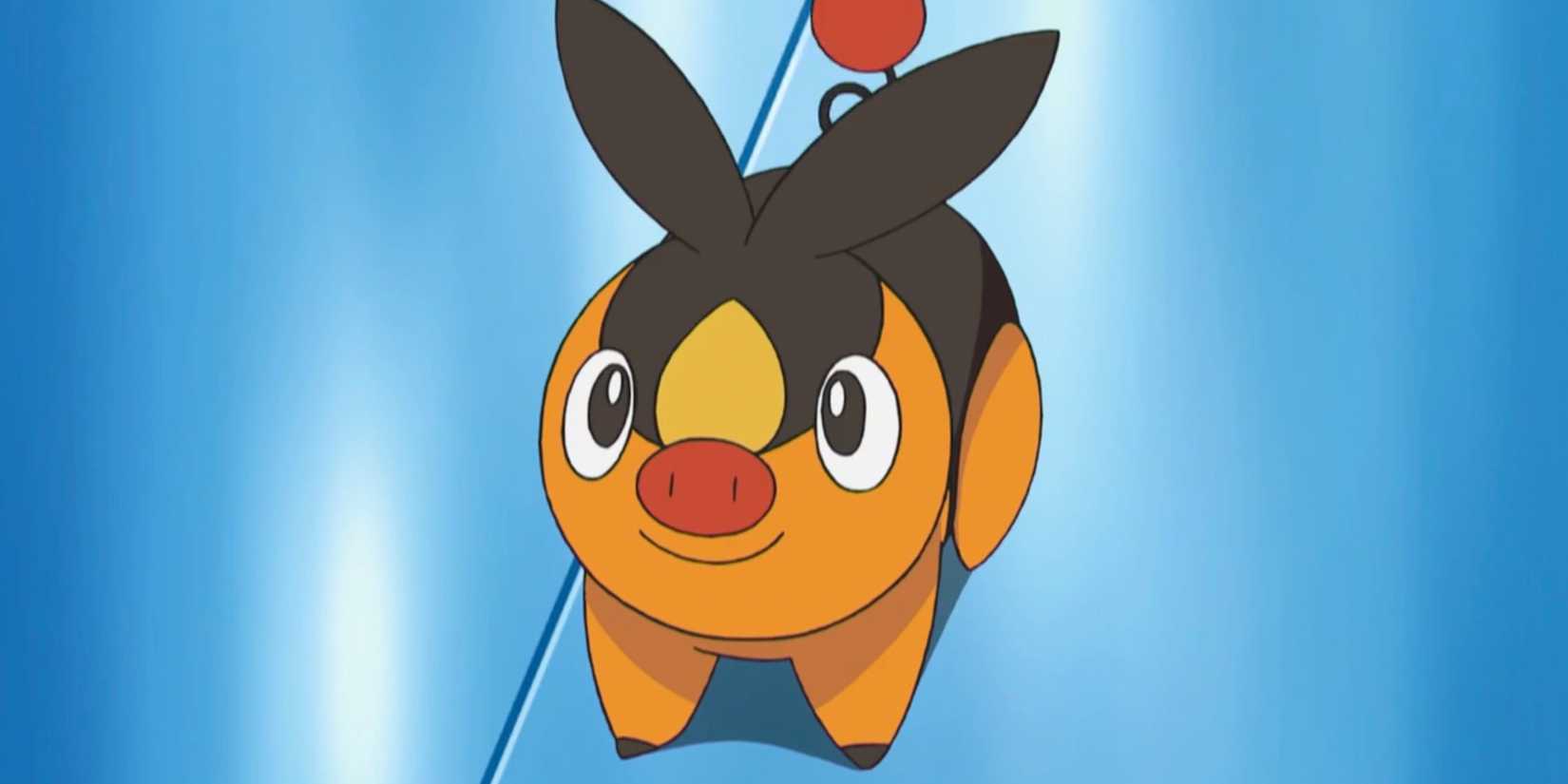 Tepig In The Pokemon Anime