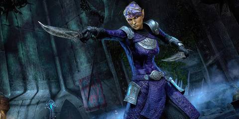 The Elder Scrolls Online promo screenshot depicting Tanlorin dual-wielding dagger.