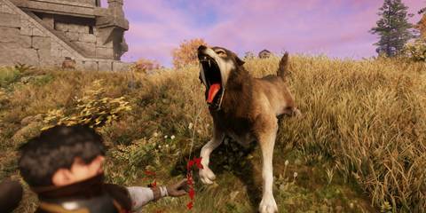 Tracking and Skinning New World Hunting Wolves