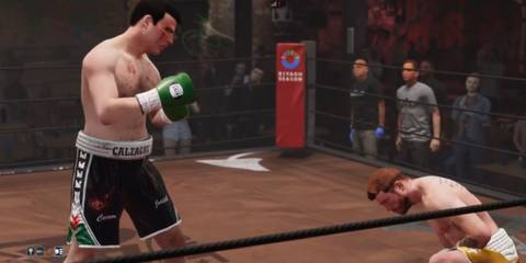 Undisputed Calzaghe stands over a downed Canelo
