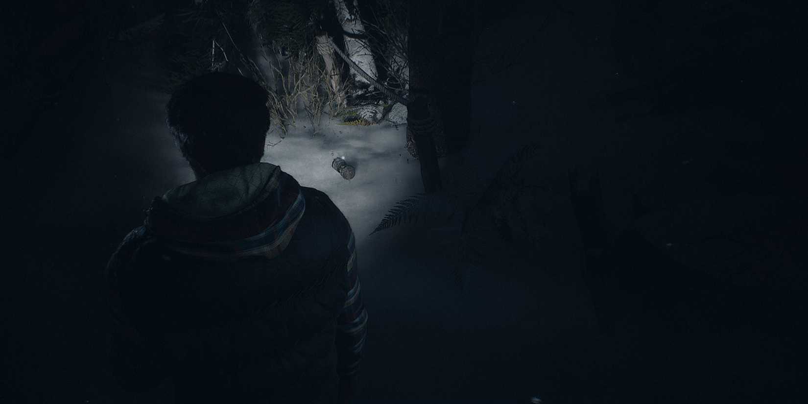 until-dawn-chapter-2-mike-guidance-totem