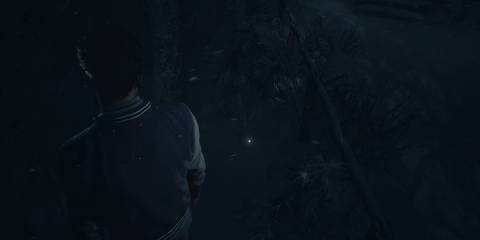 until-dawn-chapter-5-matt-danger-totem