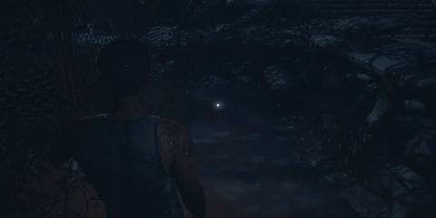 until-dawn-mike-chapter-5-danger-totem