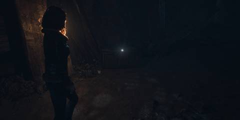 until-dawn-miner-photograph