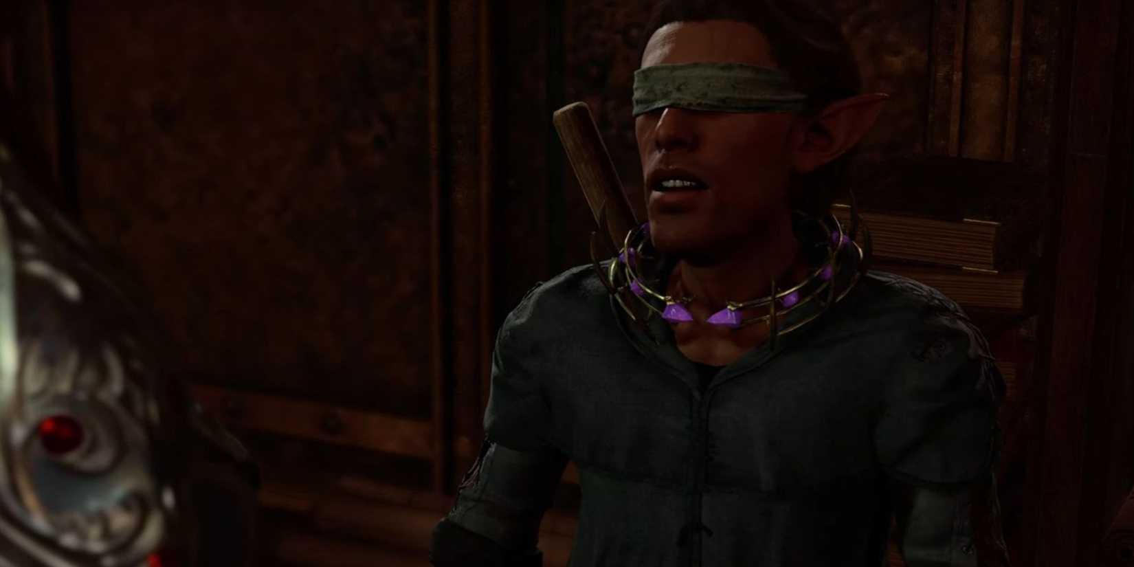 Zanner Toobin talking to the player in Baldur's Gate 3