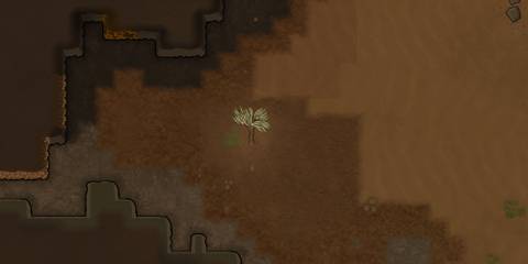 An anima tree in rimworld on a desert map