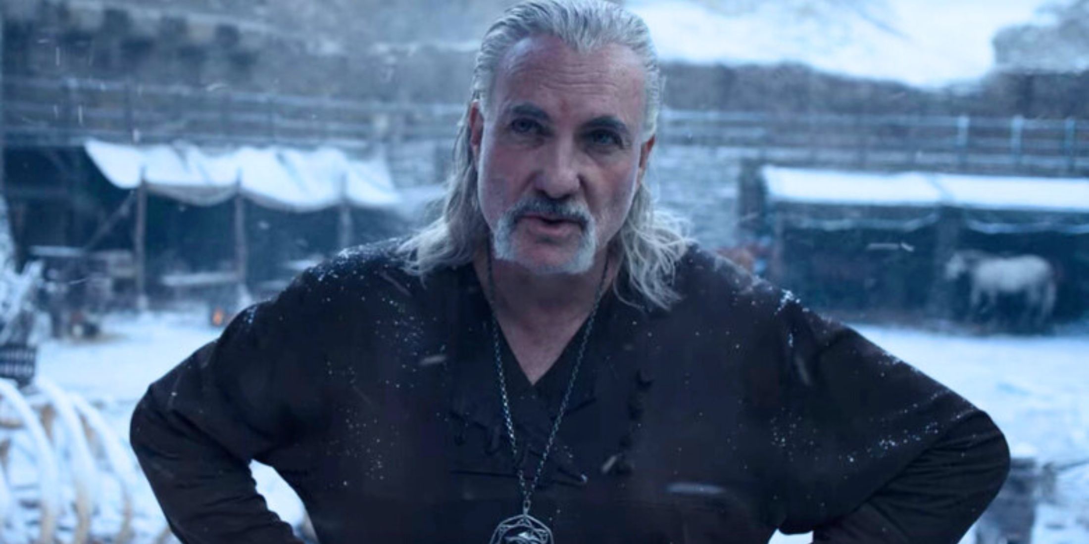 Netflixs The Witcher Confirms Reason Why Kim Bodnia Wont Return as Vesemir