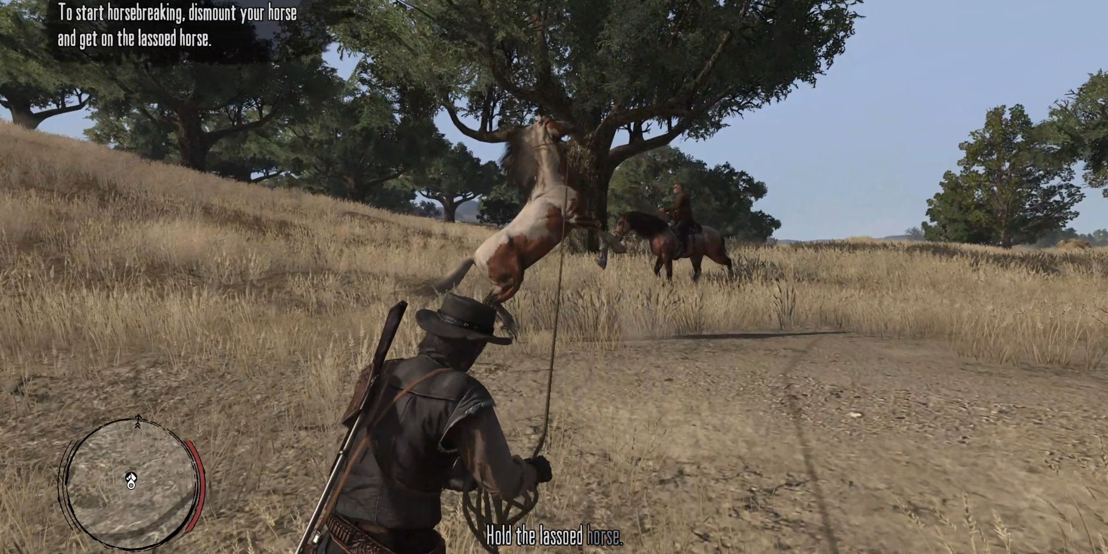 How to use the lasso on a horse in Red Dead Redemption