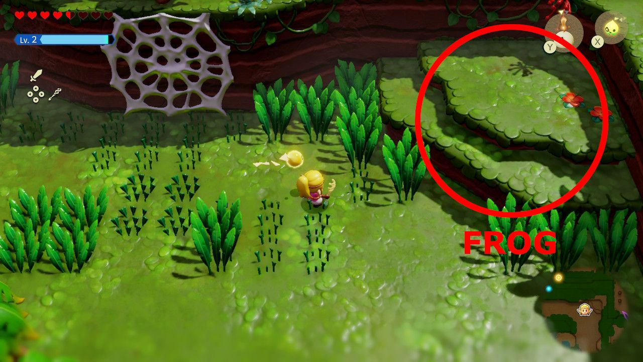 Zelda: Echoes of Wisdom - How to Break Spider Webs in Faron Wetlands