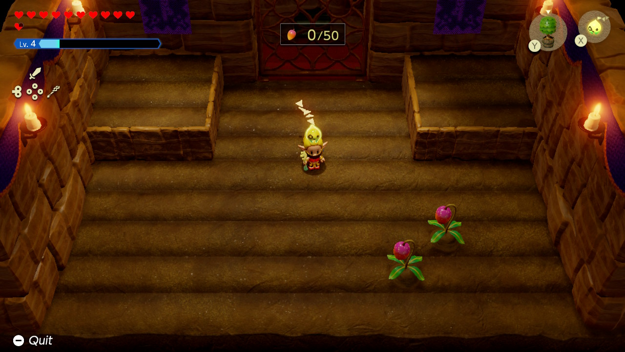 Zelda: Echoes of Wisdom - Mango Rush Minigame Walkthrough