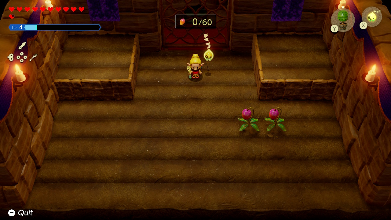 Zelda: Echoes of Wisdom - Mango Rush Minigame Walkthrough