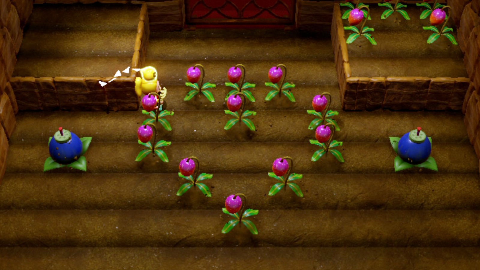 Zelda Echoes of Wisdom Mango Rush Minigame
