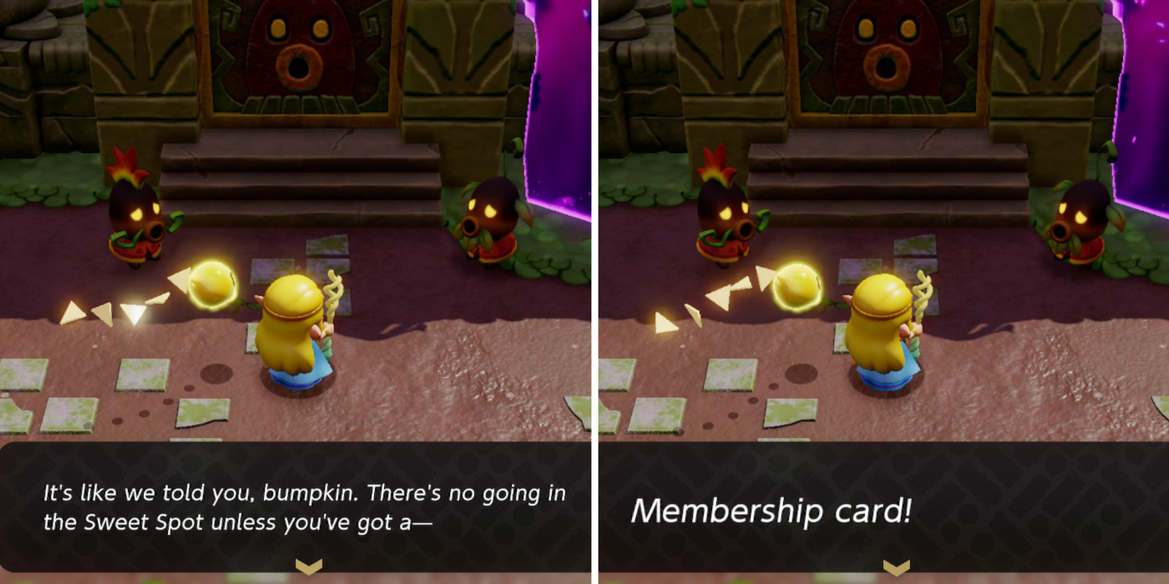 Zelda Echoes of Wisdom Membership Card Sweet Access