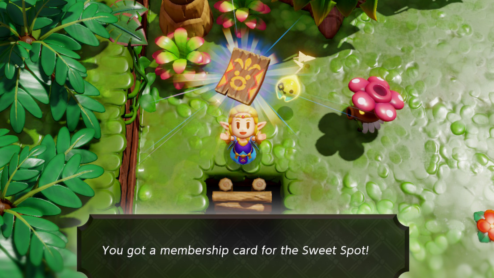 Zelda Echoes of Wisdom Membership Card Sweet Spot