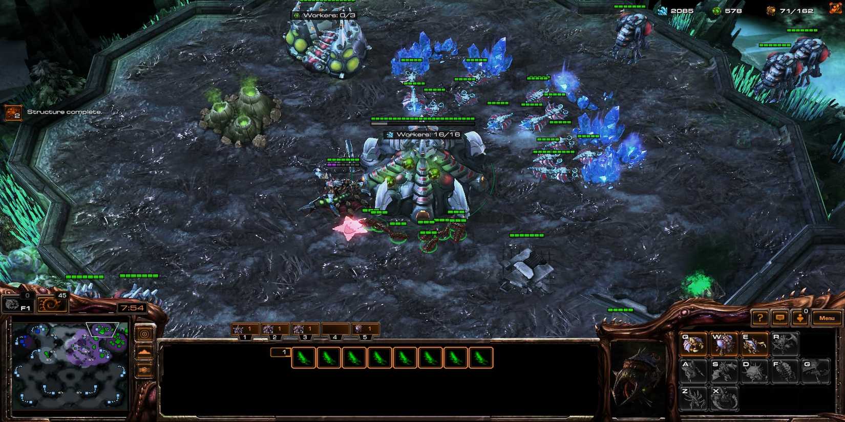 A Hatchery With A Full 16 Workers