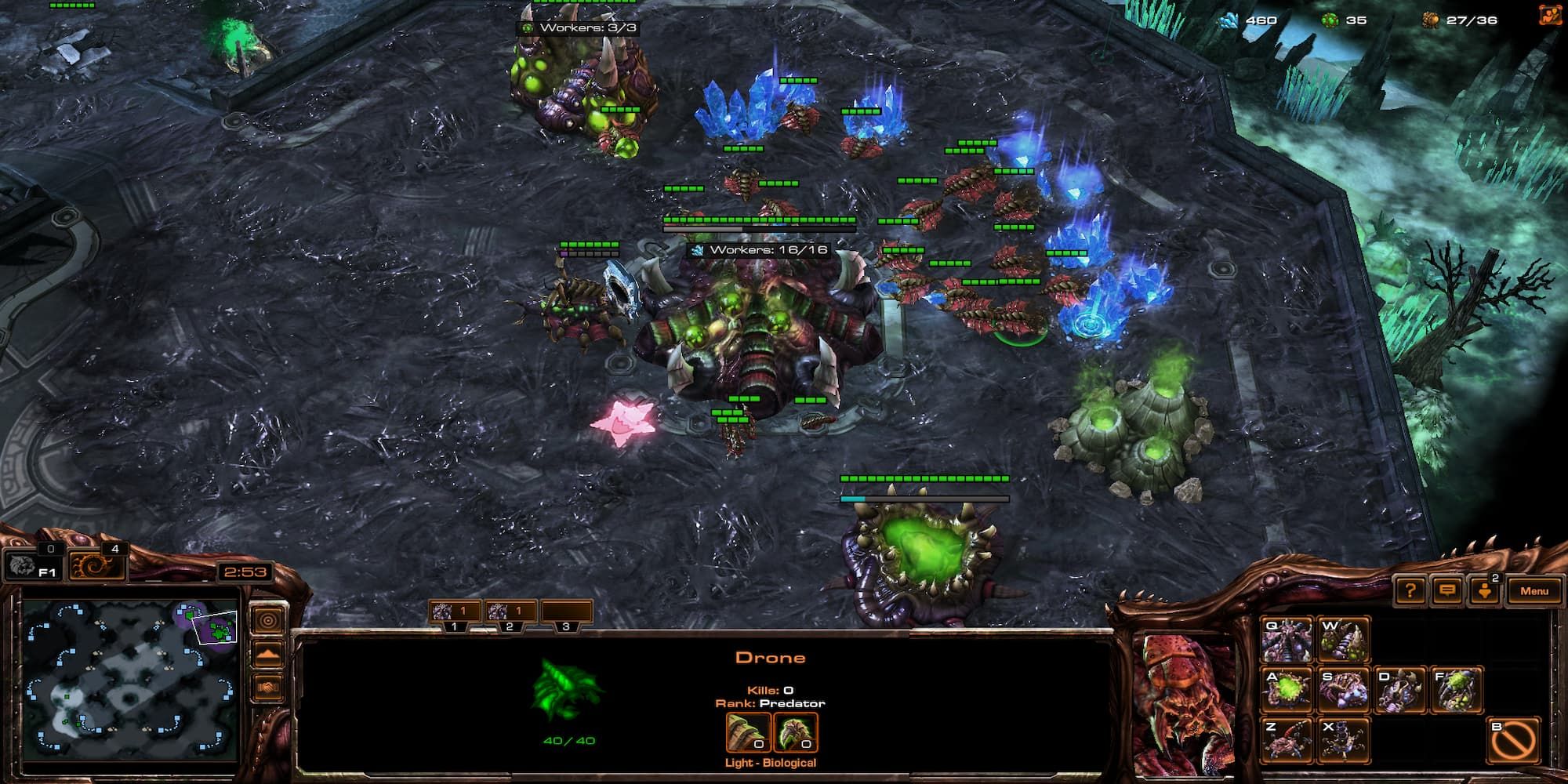 Best Zerg Starting Build Order In StarCraft 2