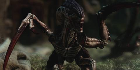 Warhammer 40k Space Marine 2 Tyranid