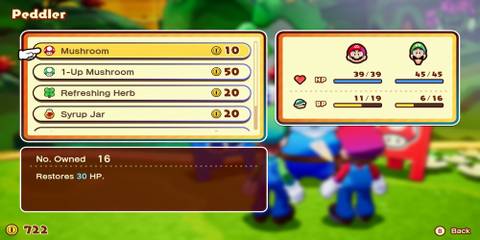 A General Store Selling Mushrooms 