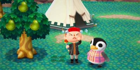 a villager crying in animal crossing pocket camp