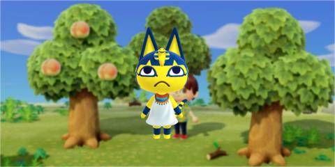 ankha