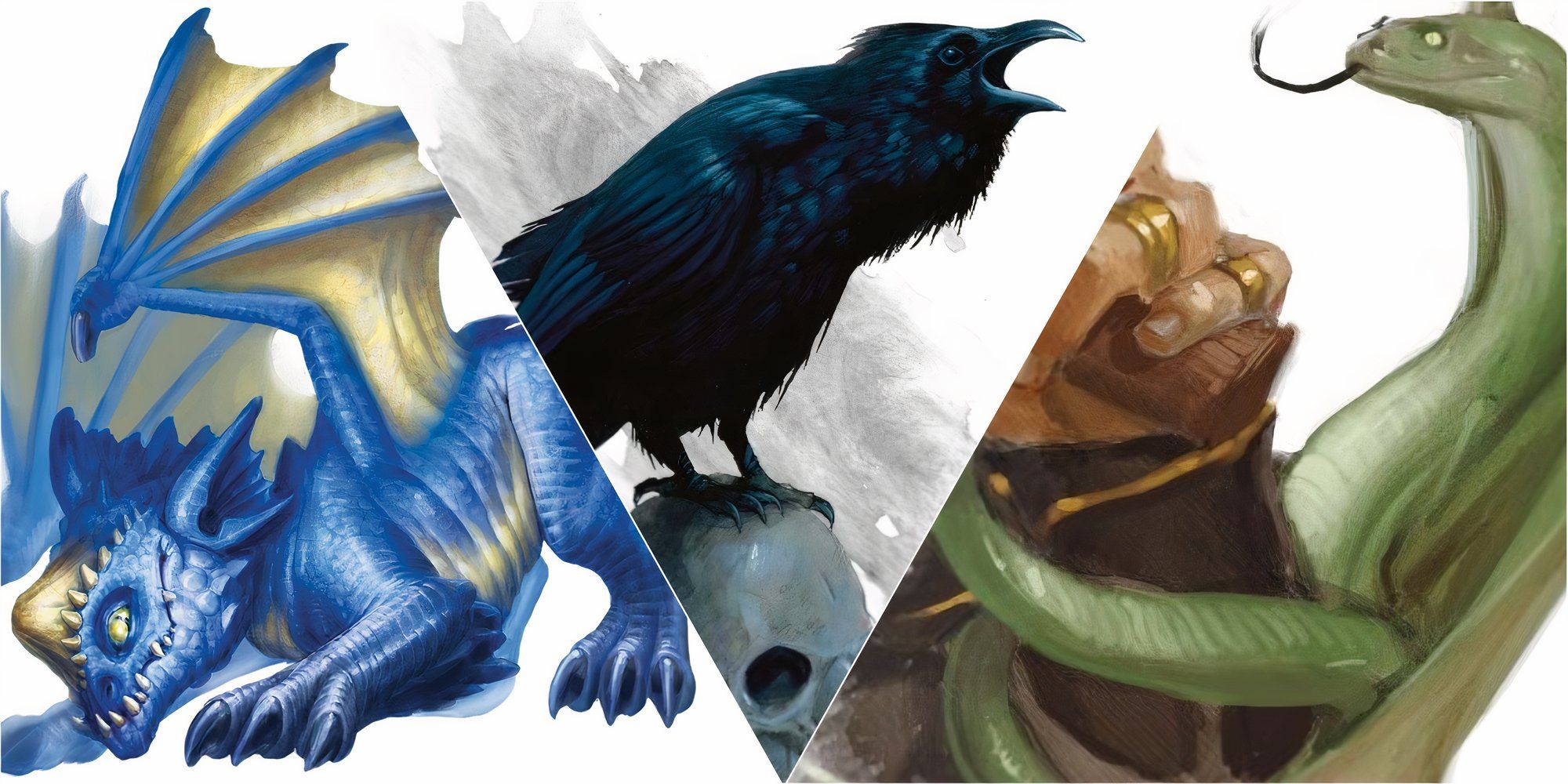 Best Beasts To Tame In D&D