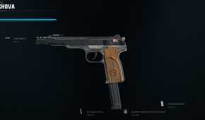 Grekhova Meta Best LW3A1 Frostline Build in Black Ops 6 & Warzone