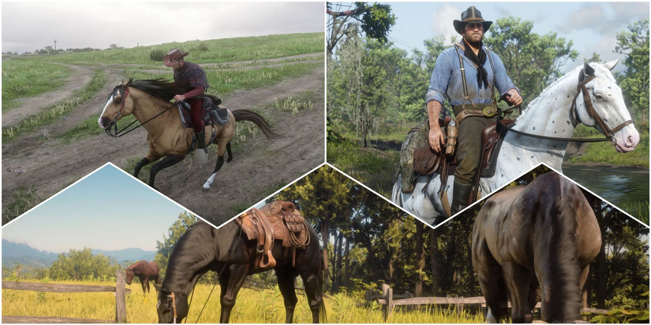 Best Horse Mods For Red Dead Redemption 2